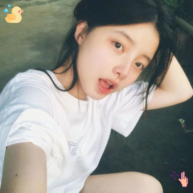 北纬用户